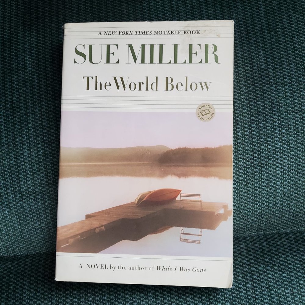 The World Below By Sue Miller - Picture 2 of 4